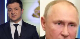 Volodymyr Zelenskyy- Vladimir Putin